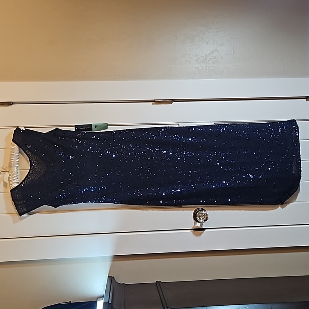 Navy sequin dress